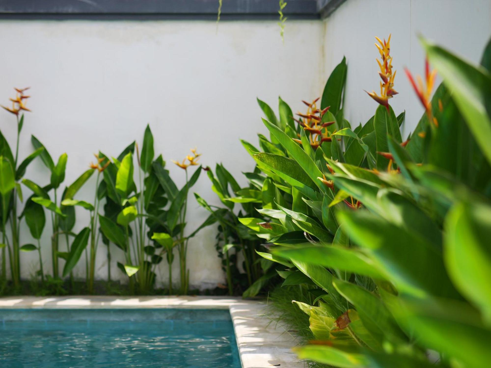 Ken Ken Guest House เซมินยัค ภายนอก รูปภาพ